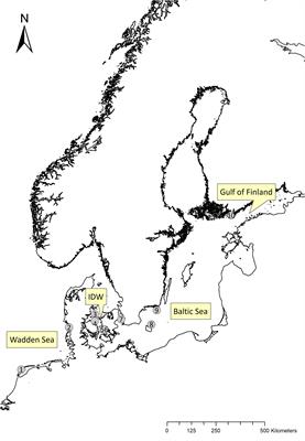 Drivers of Spatiotemporal Variation in Survival in a Flyway Population: A Multi-Colony Study